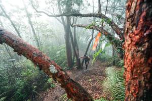 BIB: 
                            <button type="button" onclick="openModal(26343752)" class="btn btn-primary btn-sm float-right btn-popup" data-toggle="modal" data-target=".modal-high-quality">
                        <i class="fas fa-shopping-cart"></i> Add to Cart
                    </button>
                                            <button type="button" onclick="isThisMe(26343752, true)" class="btn btn-success btn-sm float-right btn-popup btn-isme hidden" data-toggle="tooltip" data-placement="bottom" title="นี่คือรูปของคุณใช่ไหม คลิกที่นี่เพื่อเอาเข้าอัลบั้ม">
                        <i class="fas fa-plus"></i> Add to album
                    </button>
                    <button type="button" onclick="isThisMe(26343752, false)" class="btn btn-warning btn-sm float-right btn-popup btn-isnotme hidden">
                        <i class="fas fa-ban"></i> Remove from album
                    </button>